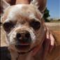 Dog Days of Summer pics :)